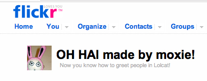 ohhai.jpg