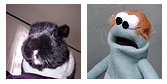 flickrfav.jpg