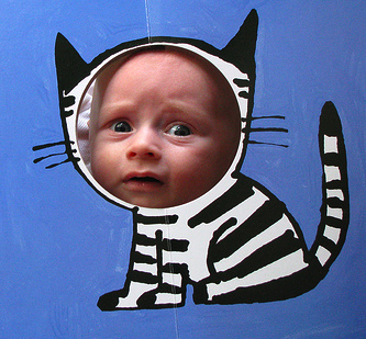 catbaby.jpg